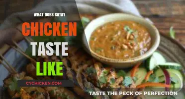 Exploring the Rich, Savory, and Nutty Flavors of Satay Chicken