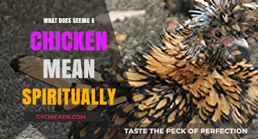 Spiritual Meaning of Seeing a Chicken: Insights and Symbolism Explained