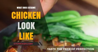 What Does Sesame Chicken Look Like? A Visual Guide