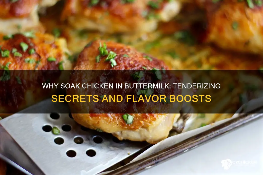 what does sioaking chicken in buttermilk do