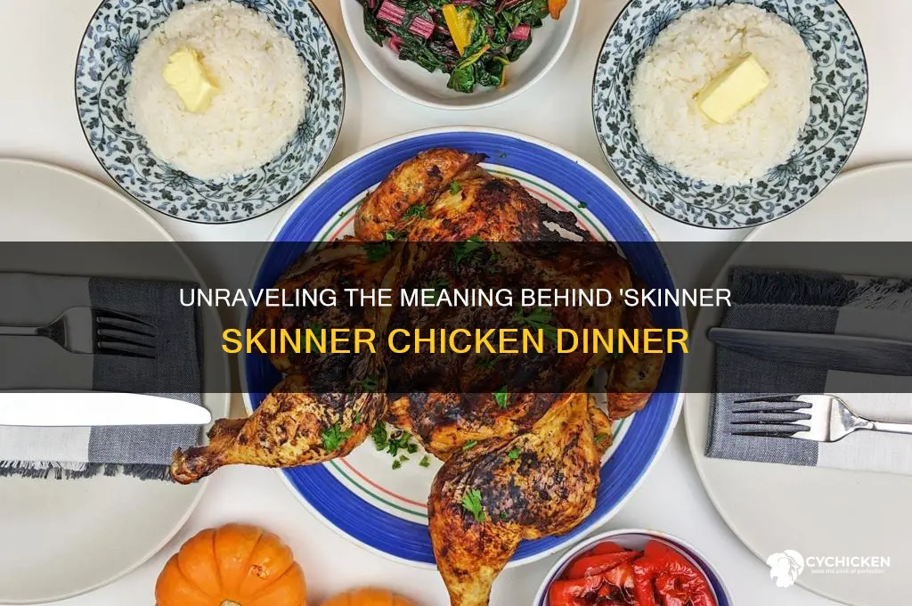 what does skinner skinner chicken dinner mean