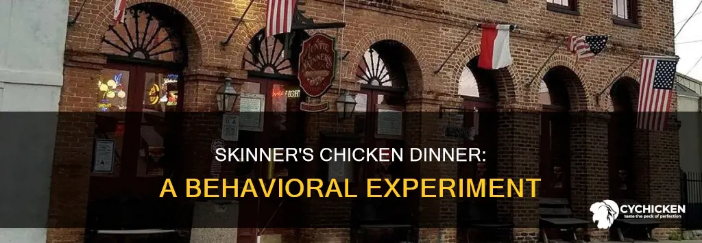 what does skinner skinner