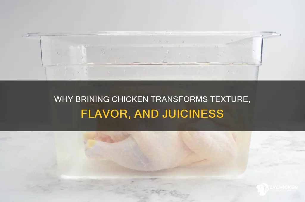 what does soaking chicken in brine do