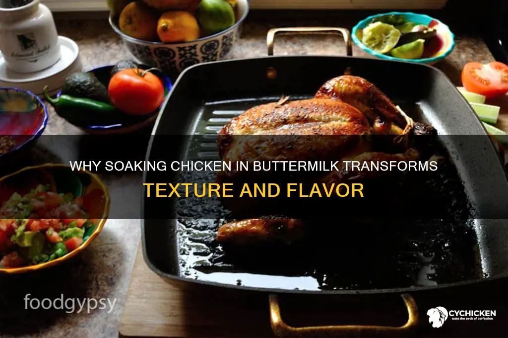 what does soaking chicken in buttermilk do