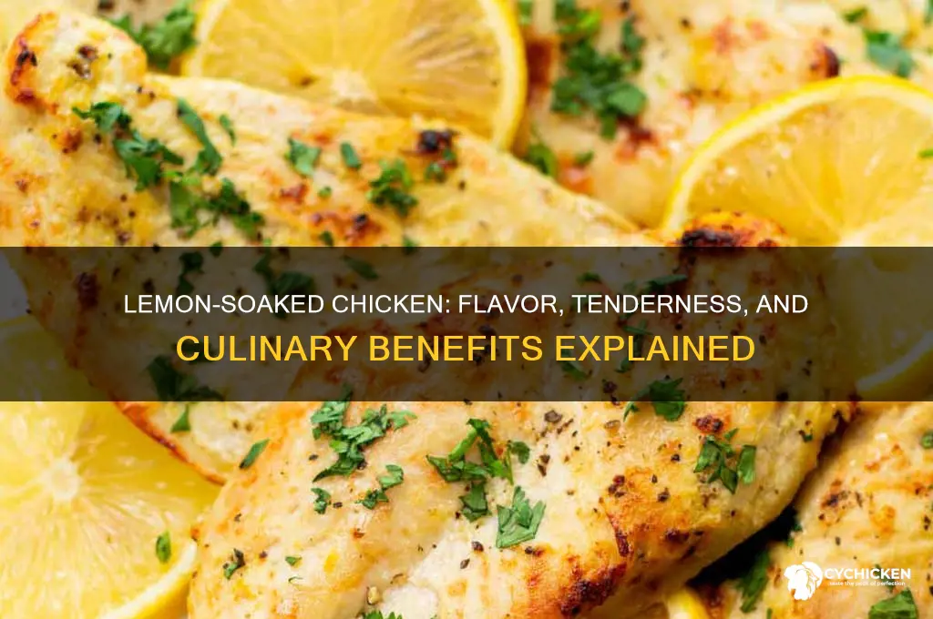 what does soaking chicken in lemon do