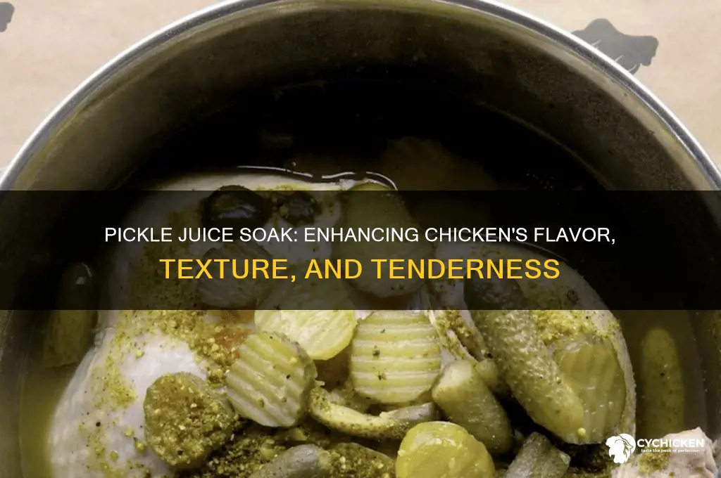 what does soaking chicken in pickle juice do