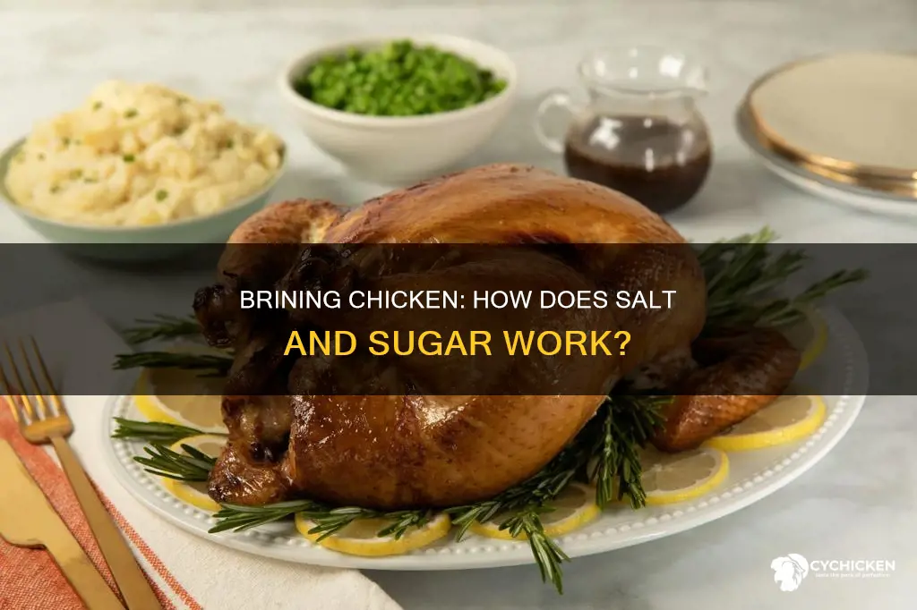 what does soaking chicken in salt and sugar do