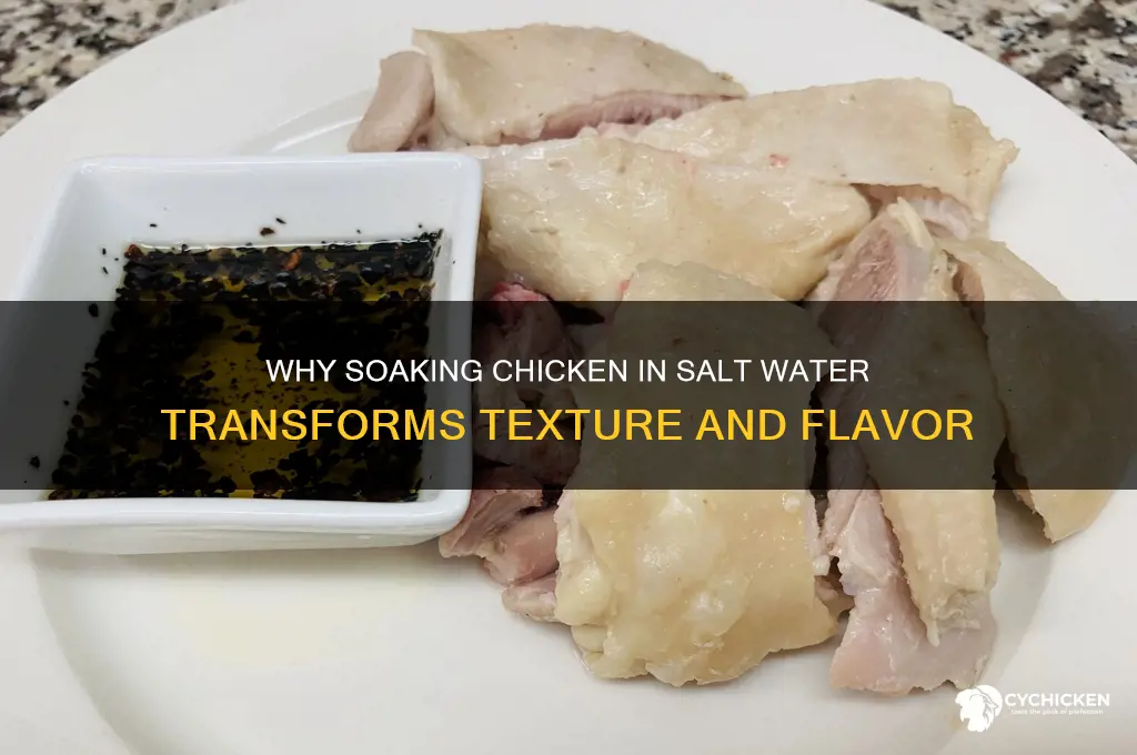 what does soaking chicken in salt water do