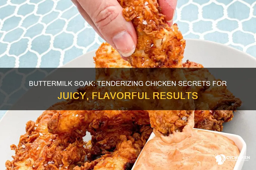what does soaking in buttermilk do for chicken