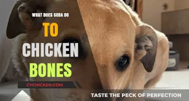 Soda's Surprising Effect on Chicken Bones: A Science-Backed Explanation