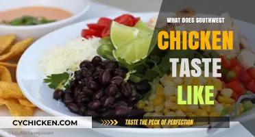 Exploring the Bold, Spicy, and Savory Flavors of Southwest Chicken