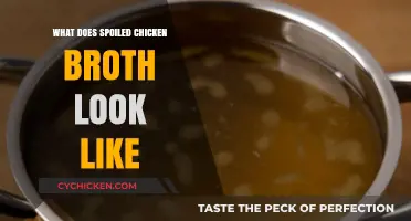Identifying Spoiled Chicken Broth: A Visual Guide