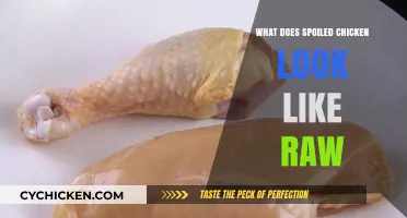 Identifying Spoiled Raw Chicken: Visual Signs and Safety Tips