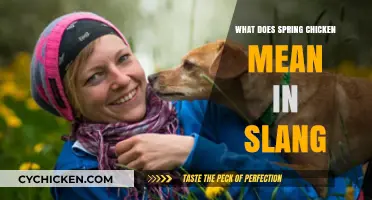 What Does 'Spring Chicken' Mean in Slang? Unpacking the Phrase