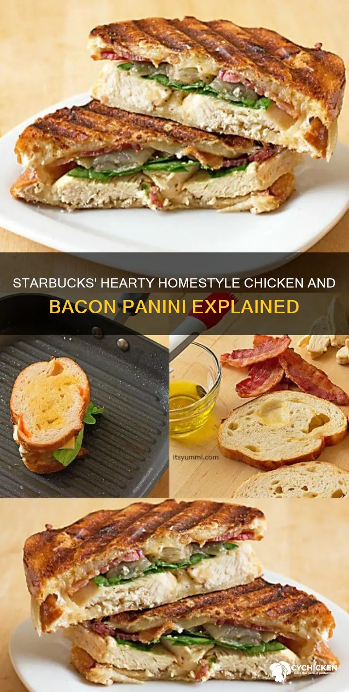 what does starbucks call their homestyle chicken and bacon panini