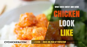 What Does Sweet and Sour Chicken Look Like? A Visual Guide