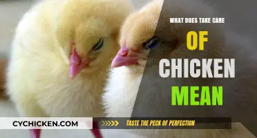 Understanding 'Take Care of Chicken': A Guide to Proper Poultry Care