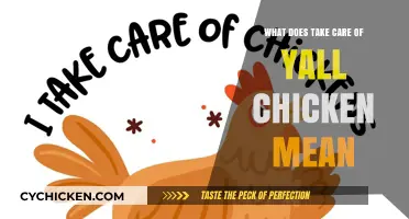 Understanding the Viral Phrase: What Does 'Take Care of Y'all Chicken' Mean?