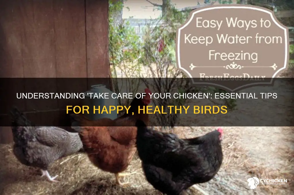 what does take care of your chicken mean