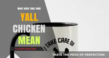 Take Care Y'all Chicken Explained: Decoding the Viral Catchphrase