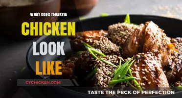 Terakyia Chicken Appearance: Visual Guide to Its Unique Look and Texture