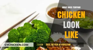 What Does Teriyaki Chicken Look Like? A Visual Guide