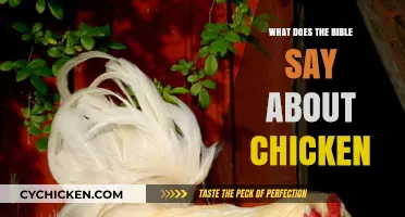 Biblical Insights: What the Bible Teaches About Chickens and Poultry