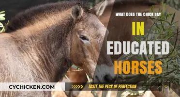Decoding the Chick's Dialogue in Educated Horses: A Deep Dive