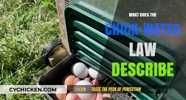 Understanding the Chick-Watson Law: A Comprehensive Legal Overview