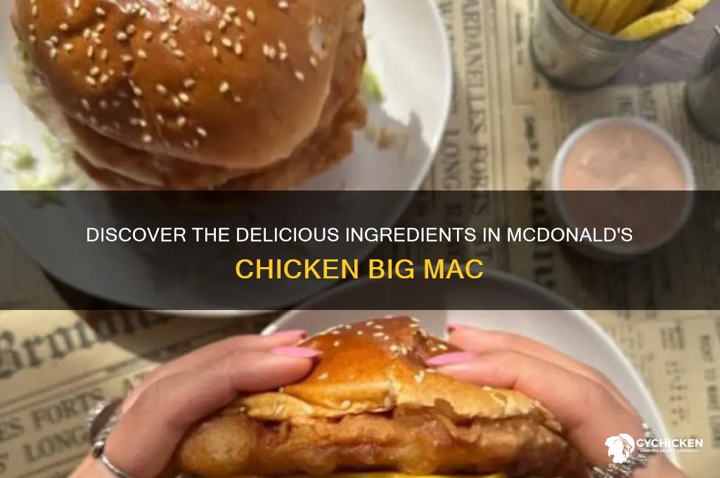 what does the chicken big mac come with
