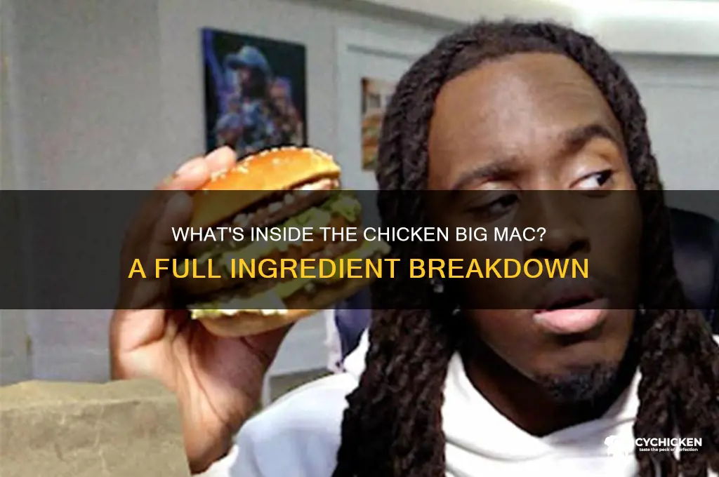 what does the chicken big mac have