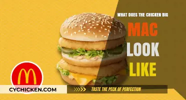 Unveiling the Chicken Big Mac: A Visual Guide to Its Unique Look