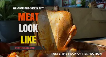 Exploring Chicken Anatomy: What Does the Butt Meat Look Like?