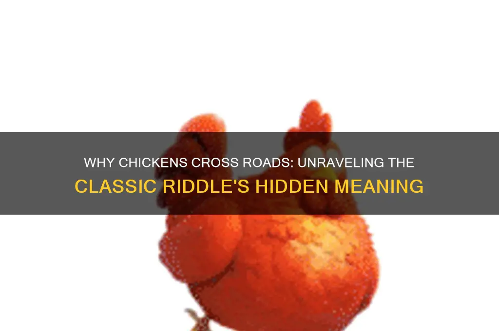 what does the chicken cross the road