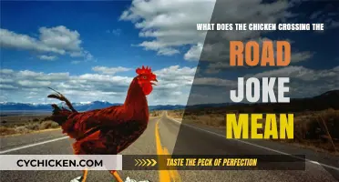 Why Did the Chicken Cross the Road?