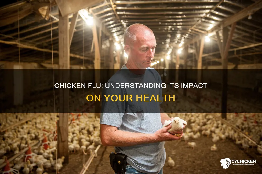 what does the chicken flu do to your body