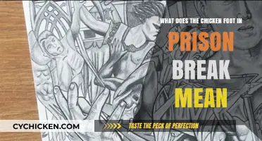 The Meaning of the Chicken Foot Symbol in Prison Break