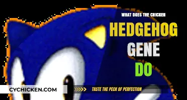 Unraveling the Chicken Hedgehog Gene: Functions and Biological Significance