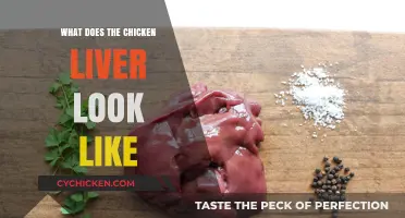 Exploring the Appearance and Texture of Chicken Liver: A Visual Guide