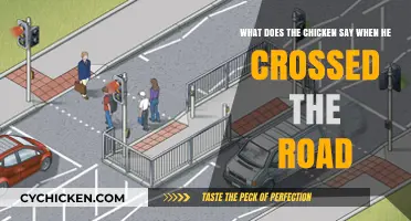 Why Did the Chicken Cross the Road?