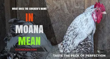 Unraveling the Symbolic Name of Moana's Chicken