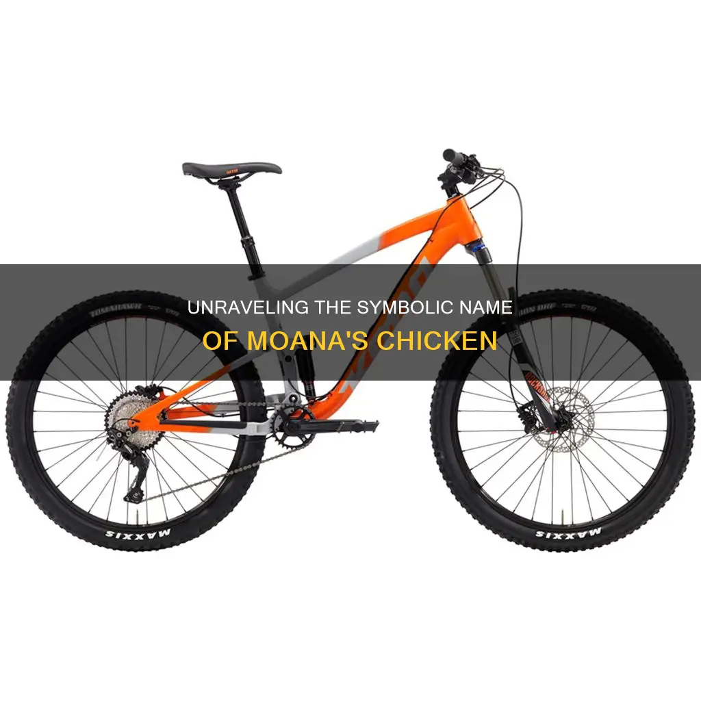 what does the chicken
