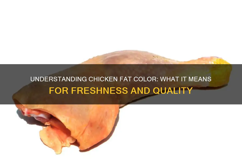 what does the color of chicken fat mean