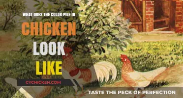 Understanding the Appearance of Color Pile in Chicken: A Visual Guide