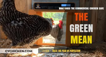 The Green Revolution: Commercial Chicken Farming
