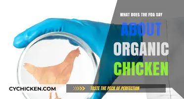 FDA Guidelines on Organic Chicken: What You Need to Know