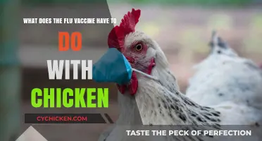 The Flu, Chickens, and You: Vaccines Explained