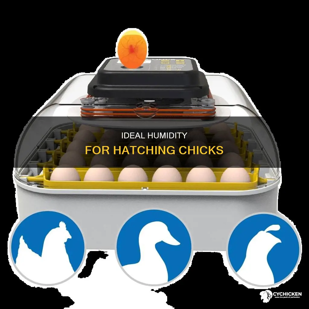 what does the humidity need to be when chicks hatch