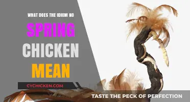 No Spring Chicken": Decoding the Meaning Behind This Age-Related Idio