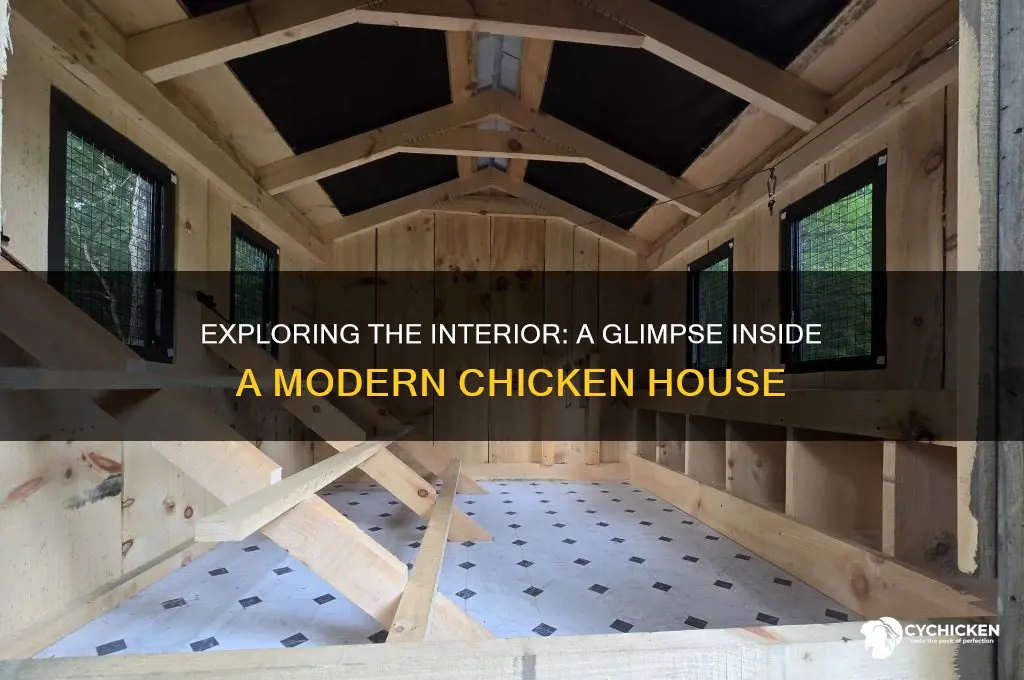 what does the inside of a chicken house look like